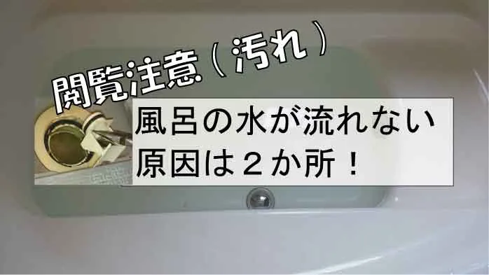 Nhkから国民を守る党はnhkをぶっ壊せるか 衝撃の政見放送とは オヒマナジカンニ
